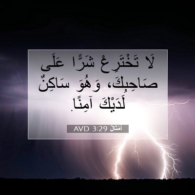 Picture 07 - أَمْثَالٌ 3:29 AVD - لَا تَخْتَرِعْ شَرًّا - Bible Verse Picture
