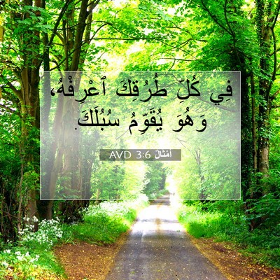 Picture 07 - أَمْثَالٌ 3:6 AVD - فِي كُلِّ طُرُقِكَ - Bible Verse Picture