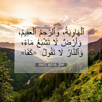 Picture 07 - أَمْثَالٌ 30:16 AVD - ٱلْهَاوِيَةُ، وَٱلرَّحِمُ - Bible Verse Picture