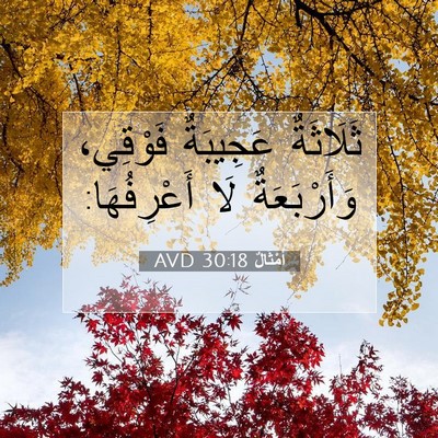 Picture 07 - أَمْثَالٌ 30:18 AVD - ثَلَاثَةٌ عَجِيبَةٌ - Bible Verse Picture