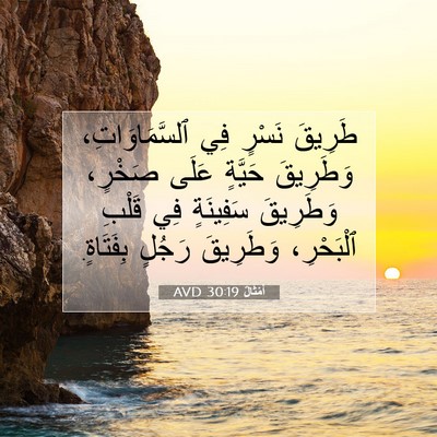 Picture 07 - أَمْثَالٌ 30:19 AVD - طَرِيقَ نَسْرٍ فِي - Bible Verse Picture