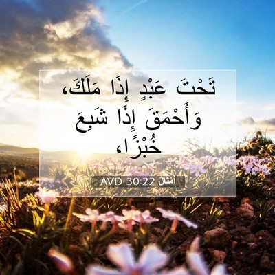 Picture 07 - أَمْثَالٌ 30:22 AVD - تَحْتَ عَبْدٍ إِذَا - Bible Verse Picture