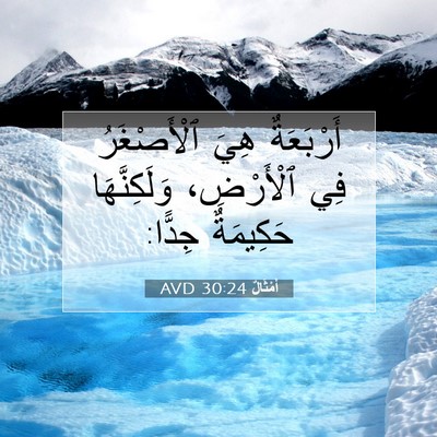 Picture 07 - أَمْثَالٌ 30:24 AVD - أَرْبَعَةٌ هِيَ - Bible Verse Picture