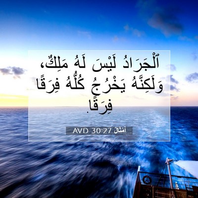 Picture 07 - أَمْثَالٌ 30:27 AVD - ٱلْجَرَادُ لَيْسَ لَهُ - Bible Verse Picture