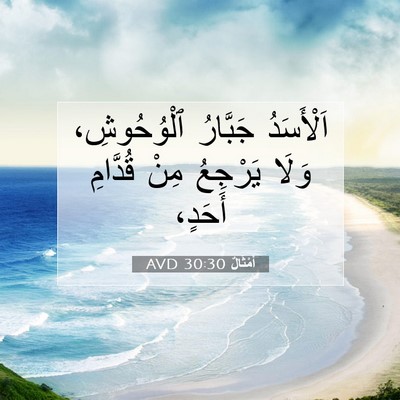 Picture 07 - أَمْثَالٌ 30:30 AVD - اَلْأَسَدُ جَبَّارُ - Bible Verse Picture