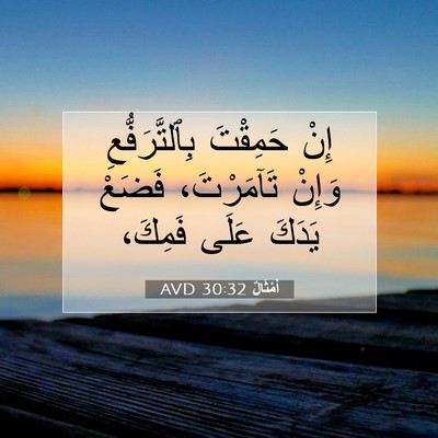 Picture 07 - أَمْثَالٌ 30:32 AVD - إِنْ حَمِقْتَ - Bible Verse Picture