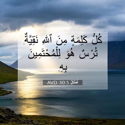 Picture 07 - أَمْثَالٌ 30:5 AVD - كُلُّ كَلِمَةٍ مِنَ ٱللهِ - Bible Verse Picture