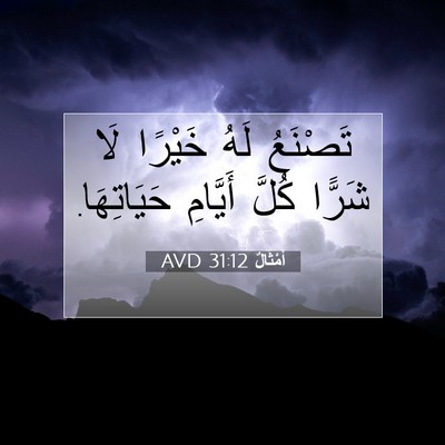 Picture 07 - أَمْثَالٌ 31:12 AVD - تَصْنَعُ لَهُ خَيْرًا لَا - Bible Verse Picture