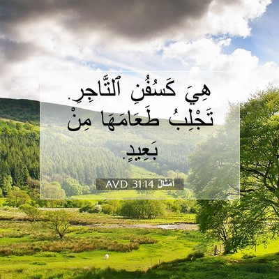 Picture 07 - أَمْثَالٌ 31:14 AVD - هِيَ كَسُفُنِ ٱلتَّاجِرِ. - Bible Verse Picture