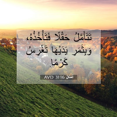Picture 07 - أَمْثَالٌ 31:16 AVD - تَتَأَمَّلُ حَقْلًا - Bible Verse Picture