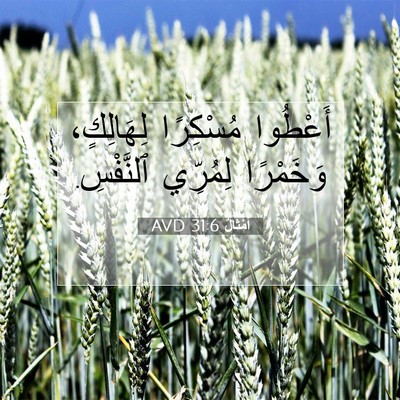 Picture 07 - أَمْثَالٌ 31:6 AVD - أَعْطُوا مُسْكِرًا - Bible Verse Picture