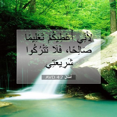 Picture 07 - أَمْثَالٌ 4:2 AVD - لِأَنِّي أُعْطِيكُمْ - Bible Verse Picture