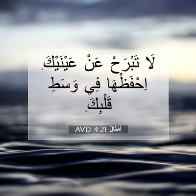 Picture 07 - أَمْثَالٌ 4:21 AVD - لَا تَبْرَحْ عَنْ - Bible Verse Picture