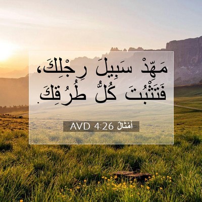 Picture 07 - أَمْثَالٌ 4:26 AVD - مَهِّدْ سَبِيلَ رِجْلِكَ، - Bible Verse Picture