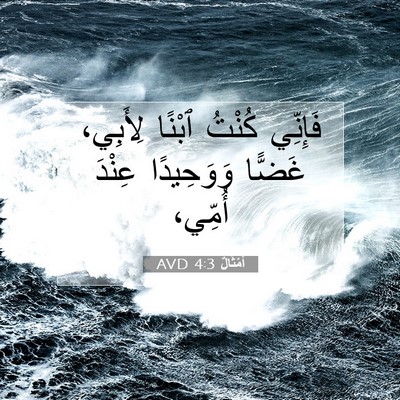 Picture 07 - أَمْثَالٌ 4:3 AVD - فَإِنِّي كُنْتُ ٱبْنًا - Bible Verse Picture