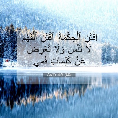 Picture 07 - أَمْثَالٌ 4:5 AVD - اِقْتَنِ ٱلْحِكْمَةَ. - Bible Verse Picture