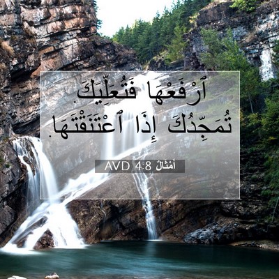 Picture 07 - أَمْثَالٌ 4:8 AVD - ٱرْفَعْهَا فَتُعَلِّيَكَ. - Bible Verse Picture