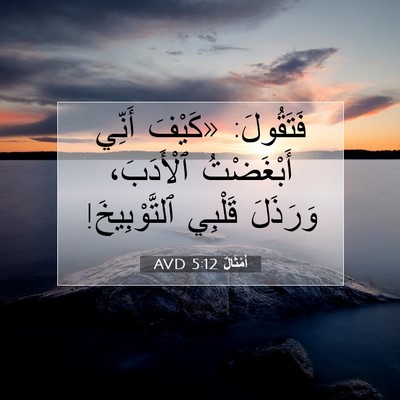 Picture 07 - أَمْثَالٌ 5:12 AVD - فَتَقُولَ: «كَيْفَ أَنِّي - Bible Verse Picture