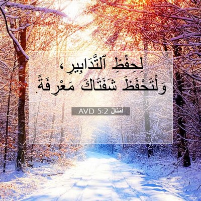 Picture 07 - أَمْثَالٌ 5:2 AVD - لِحِفْظِ ٱلتَّدَابِيرِ، - Bible Verse Picture