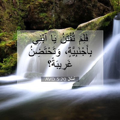 Picture 07 - أَمْثَالٌ 5:20 AVD - فَلِمَ تُفْتَنُ يَا ٱبْنِي - Bible Verse Picture