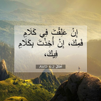 Picture 07 - أَمْثَالٌ 6:2 AVD - إِنْ عَلِقْتَ فِي كَلَامِ - Bible Verse Picture
