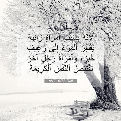 Picture 07 - أَمْثَالٌ 6:26 AVD - لِأَنَّهُ بِسَبَبِ - Bible Verse Picture
