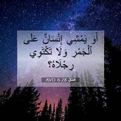 Picture 07 - أَمْثَالٌ 6:28 AVD - أَوَ يَمْشِي إِنْسَانٌ - Bible Verse Picture