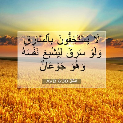 Picture 07 - أَمْثَالٌ 6:30 AVD - لَا يَسْتَخِفُّونَ - Bible Verse Picture