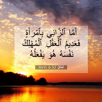 Picture 07 - أَمْثَالٌ 6:32 AVD - أَمَّا ٱلزَّانِي - Bible Verse Picture