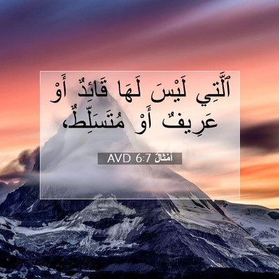 Picture 07 - أَمْثَالٌ 6:7 AVD - ٱلَّتِي لَيْسَ لَهَا - Bible Verse Picture