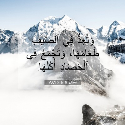 Picture 07 - أَمْثَالٌ 6:8 AVD - وَتُعِدُّ فِي ٱلصَّيْفِ - Bible Verse Picture