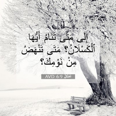 Picture 07 - أَمْثَالٌ 6:9 AVD - إِلَى مَتَى تَنَامُ - Bible Verse Picture
