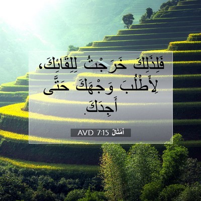 Picture 07 - أَمْثَالٌ 7:15 AVD - فَلِذَلِكَ خَرَجْتُ - Bible Verse Picture