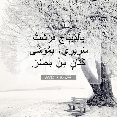 Picture 07 - أَمْثَالٌ 7:16 AVD - بِٱلدِّيبَاجِ فَرَشْتُ - Bible Verse Picture
