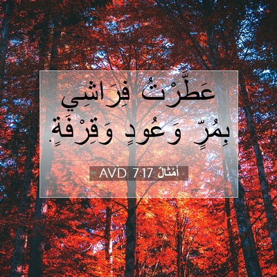 Picture 07 - أَمْثَالٌ 7:17 AVD - عَطَّرْتُ فِرَاشِي - Bible Verse Picture