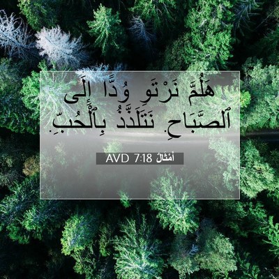 Picture 07 - أَمْثَالٌ 7:18 AVD - هَلُمَّ نَرْتَوِ وُدًّا - Bible Verse Picture