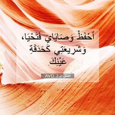 Picture 07 - أَمْثَالٌ 7:2 AVD - ٱحْفَظْ وَصَايَايَ - Bible Verse Picture
