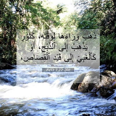 Picture 07 - أَمْثَالٌ 7:22 AVD - ذَهَبَ وَرَاءَهَا - Bible Verse Picture