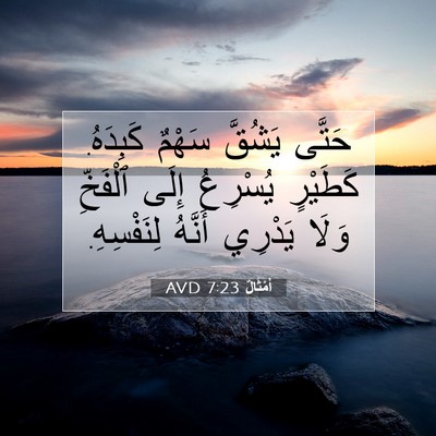 Picture 07 - أَمْثَالٌ 7:23 AVD - حَتَّى يَشُقَّ سَهْمٌ - Bible Verse Picture