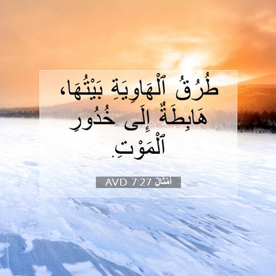 Picture 07 - أَمْثَالٌ 7:27 AVD - طُرُقُ ٱلْهَاوِيَةِ - Bible Verse Picture