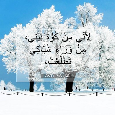Picture 07 - أَمْثَالٌ 7:6 AVD - لِأَنِّي مِنْ كُوَّةِ - Bible Verse Picture