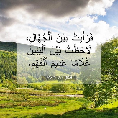 Picture 07 - أَمْثَالٌ 7:7 AVD - فَرَأَيْتُ بَيْنَ - Bible Verse Picture