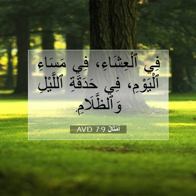 Picture 07 - أَمْثَالٌ 7:9 AVD - فِي ٱلْعِشَاءِ، فِي - Bible Verse Picture