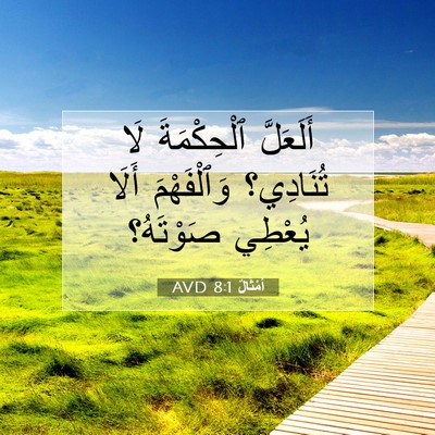 Picture 07 - أَمْثَالٌ 8:1 AVD - أَلَعَلَّ ٱلْحِكْمَةَ لَا - Bible Verse Picture