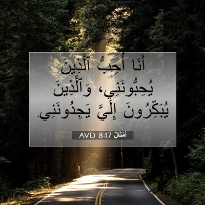 Picture 07 - أَمْثَالٌ 8:17 AVD - أَنَا أُحِبُّ ٱلَّذِينَ - Bible Verse Picture