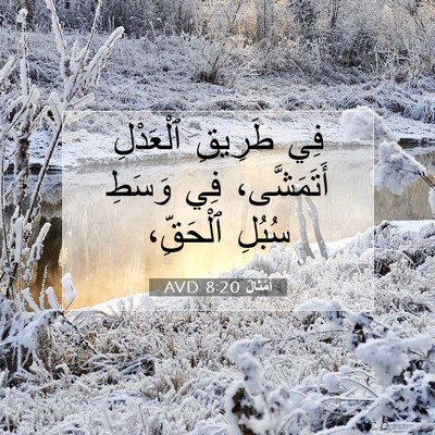 Picture 07 - أَمْثَالٌ 8:20 AVD - فِي طَرِيقِ ٱلْعَدْلِ - Bible Verse Picture