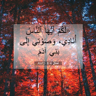 Picture 07 - أَمْثَالٌ 8:4 AVD - «لَكُمْ أَيُّهَا ٱلنَّاسُ - Bible Verse Picture
