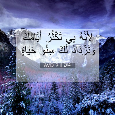 Picture 07 - أَمْثَالٌ 9:11 AVD - لِأَنَّهُ بِي تَكْثُرُ - Bible Verse Picture