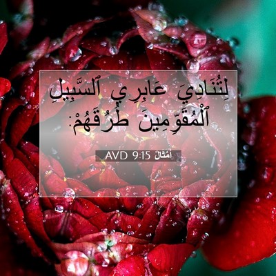 Picture 07 - أَمْثَالٌ 9:15 AVD - لِتُنَادِيَ عَابِرِي - Bible Verse Picture