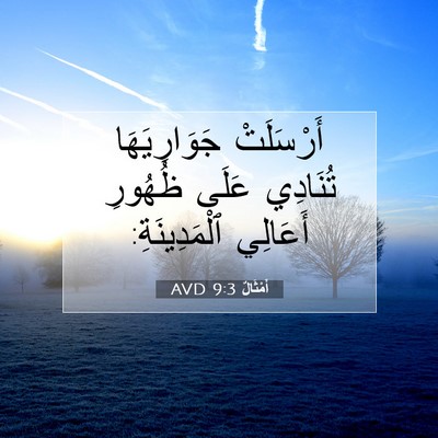 Picture 07 - أَمْثَالٌ 9:3 AVD - أَرْسَلَتْ جَوَارِيَهَا - Bible Verse Picture